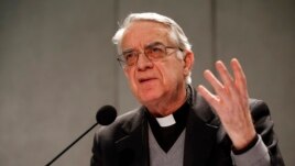 Người đứng đầu Phòng Báo chí Vatican, linh mục Federico Lombardi, cho biết cuộc gặp ‘giúp đào sâu những quan hệ song phương giữa Việt Nam và Tòa Thánh’