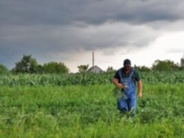 Farmer Rusty Lee supplies fresh meat and produce to the Old North Grocery Co-op.