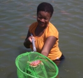 Boston physician Arielle Adrien nets a fish on the Kiskeya Aqua Ferme (farm) in Haiti.