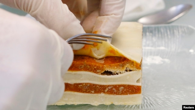 Petugas laboratorium di Bern memeriksa produk lasagna untuk melihat apakah daging yang dikandungnya daging kuda. (Foto: Dok)