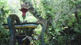 Kopsht surrealist në xhunglën meksikane