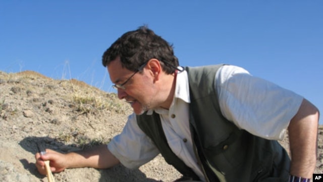 Rick Potts has led excavations at early human sites in the East African Rift Valley, and currently directs a multidisciplinary research team at the famous handaxe site of Olorgesailie, Kenya.