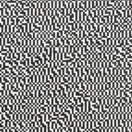 Naveed Noor's 'The Eye Codex of The Monochrome Series.'
