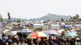 Des déplacés attendent de recevoir de l'aide alimentaire au camp de Mugunga, près de Goma (24 nov. 2012)