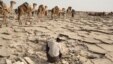 A worker extracts salt from the desert in the Danakil Depression, northern Ethiopia, April 22, 2013.
