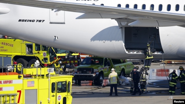 Las cabezas, cada una etiquetada con un nombre y la causa de su muerte, fueron confiscadas en el aeropuerto O'Hare.