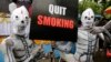 WHO: High Tobacco Taxes Can Save Millions of Lives