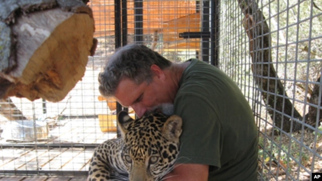 Dale Anderson with Morato, a jaguar he keeps in captivity at Cat Haven.