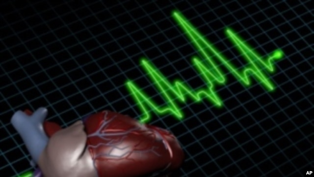 'Smart' skin, which has all the properties of real skin, contains electronic components which measure everything from heart rate to brain waves.