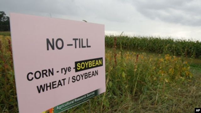 No-till agriculture is one of the benefits of GE crops that is threatened by poor management