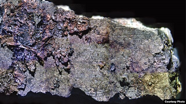 The charred remnants of a prehistoric meal on a fragment of a 6,000-year-old cooking pot. Courtesy of University of York, BioArCh)