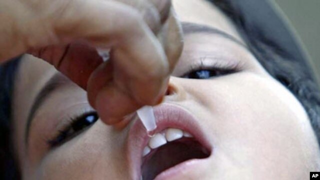 A child receives polio drops at a polio booth in the central Indian city of Bhopal, India, December 2008. (file photo)