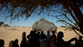 In this November 2012 photo, children gather under a sole shade tree as they take a break from class outside their schoolhouse made of reeds in the village of Louri, in the Mao region of Chad.