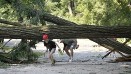 Residentes del área de Cleveland Park, en Washington, DC, esquivan uno de los tantos árboles caídos por las tormentas del viernes.
