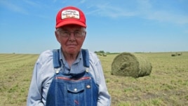 Iowa farmer Dick Thompson uses crop diversity to survive droughts and other natural disasters. (Photo: Steve Baragona)