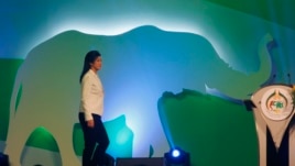 Thailand's Prime Minister Yingluck Shinawatra is seen walking on stage before opening the CITES meeting in Bangkok March 3, 2013.