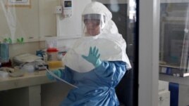 A laboratory specialist examines specimens of the Ebola virus at the Uganda virus research centre in Entebbe, 40km (25 miles) south from capital Kampala, May 17, 2011.  
