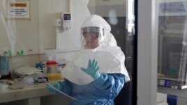 A laboratory specialist examines specimens of the Ebola virus at the Uganda virus research center in Entebbe, 40km south of the capital Kampala, May 17, 2011.  