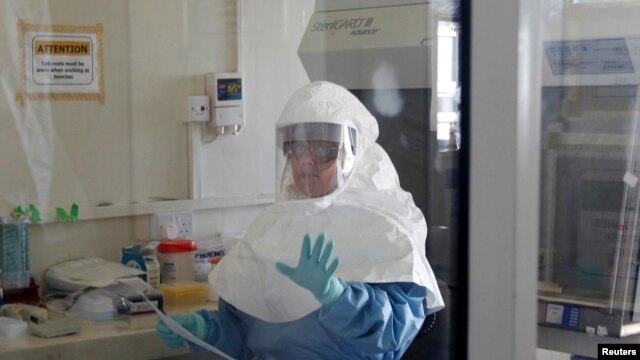 A laboratory specialist examines specimens of the Ebola virus at the Uganda virus research centre in Entebbe, May 17, 2011.  