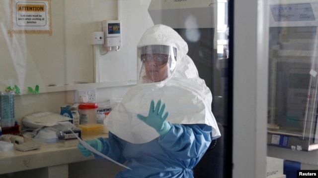 A laboratory specialist examines specimens of the Ebola virus at the Uganda virus research center in Entebbe, 40km south of the capital Kampala, May 17, 2011.  