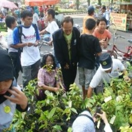 Masyarakat Surabaya antusias menerima pembagian bibit pohon untuk ditanam dalam peringatan Hari Pohon Sedunia (21/11).