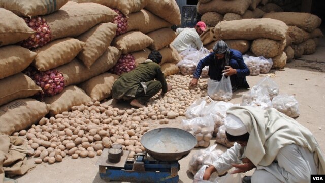 Potatoes to be sold in Jalalabad's main vegetable market are inspected and weighed, May 16, 2011.(Bethany Matta/VOA)