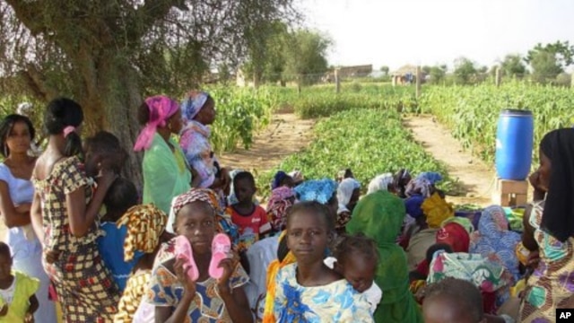 Children and women inside garden at the Wendou Bosseabe refugee camp, Senegal, October 26, 2011.