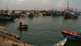 Tàu thuyền đánh bắt cá neo đậu ở cảng Quy Nhơn