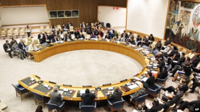 A wide view of the United Nations Security Council (file photo)