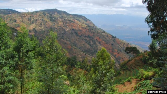 Using the briquettes instead of wood prevents deforestation – the effects of which are clearly visible in this photograph showing a hillside in Tanzania that’s been stripped almost bare of trees by wood collectors [Photo: Peter Stanley]