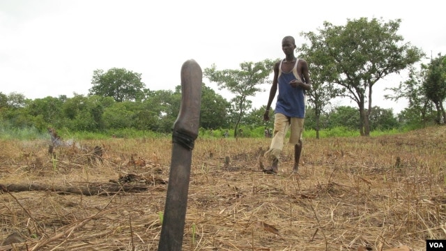 Development experts want more young Africans to have a stake in African agriculture like this young man in the Central African Republic. VOA/Nico Colombant