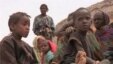 De Capua report on Sahel food crisis