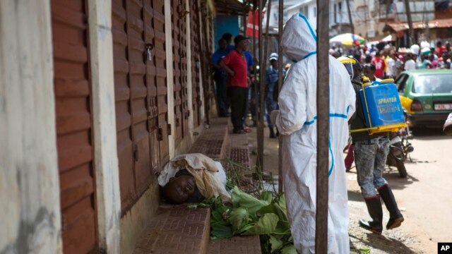 Nhân viên y tế lấy mẫu từ cơ thể của một người bị nghi là đã chết vì virus Ebola trên đường phố ở Freetown, Sierra Leone, ngày 8/10/2014.