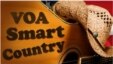 VOA Smart Country