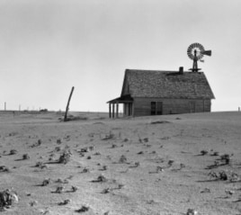 In the 1930s, the once-fertile Great Plains turned into the Dust Bowl after generations of plows broke up the soil.