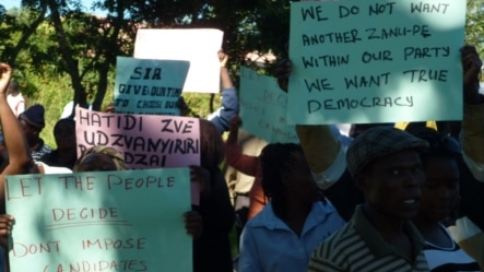 MDC-T supporters demonstrating in Mutare over the disqualification of an aspiring primary elections primary elections