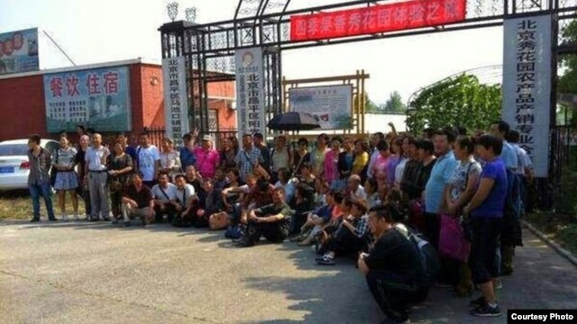 百多位维权人士和律师围观程海律师昌平听证会 (网络图片)