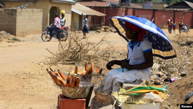 A woman roasts maize by the road side along Manchock road, in Kaura Local Government Kaduna State, Nigeria, March 21, 2014.
