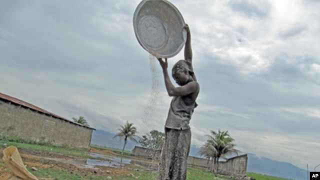 Rice farmers can be adversely affected by food aid.