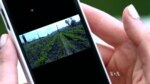 Farms Go Digital: Food Startups Connect Farmers to Foodies