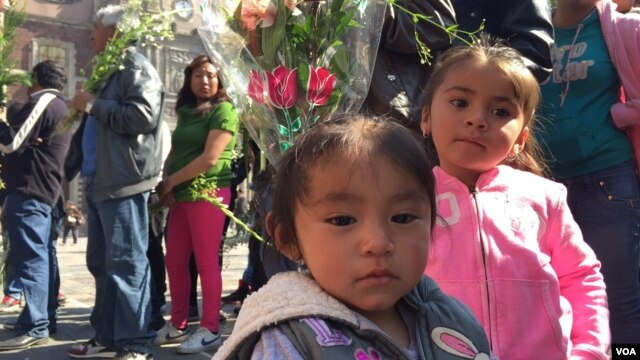 El gobierno mexicano instaló 45 pantallas gigantes en el Zócalo, Basílica, Juárez, 20 de noviembre, entre otras vías para seguir la histórica visita del papa Francisco. [Foto: Celia Mendoza, VOA].