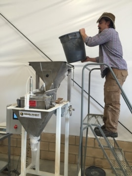 The Teff Company founders' son Gareth Carlson joined the family business. Here, he loads teff flour into a packaging machine. (Credit: Tom Banse)