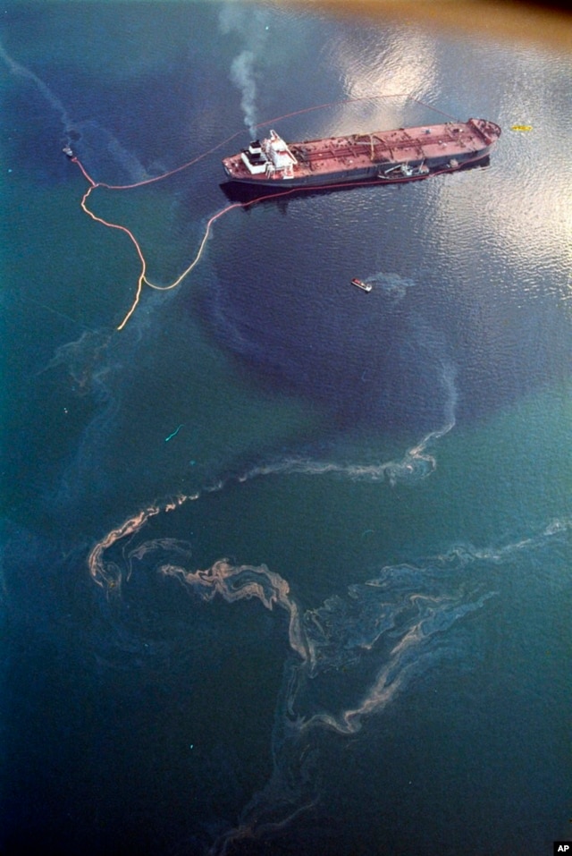 Exxon Valdez Oil Spill: 25 Years Later