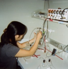 A research associate at Davis' lab prepares the series of tubes for the flies' olfactory memory training.