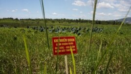 Đà Nẵng là 'điểm nóng dioxin' hàng đầu trong 28 điểm nóng ở Việt Nam