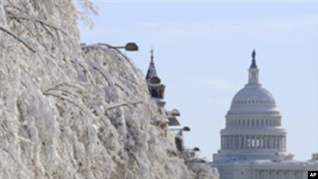 U.S. Capitol Building
