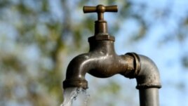 tap water 