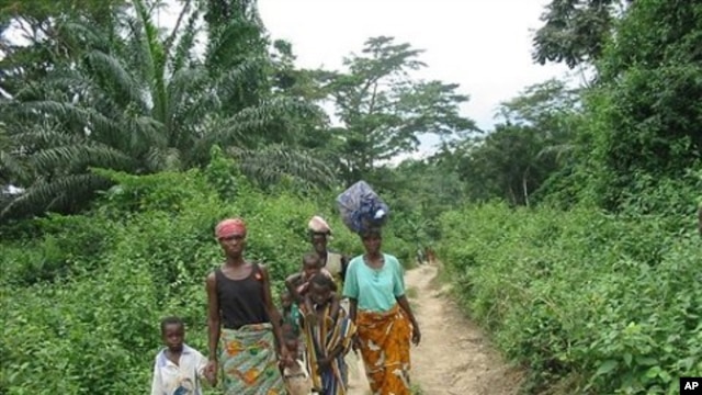 A group of Ivorian refugees walk to the town of Gborplay in Liberia (File Photo)