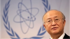 International Atomic Energy Agency (IAEA) Director General Yukiya Amano 