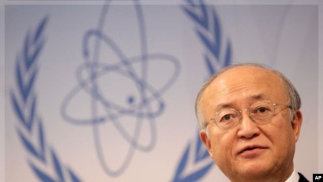 International Atomic Energy Agency (IAEA) Director General Yukiya Amano 